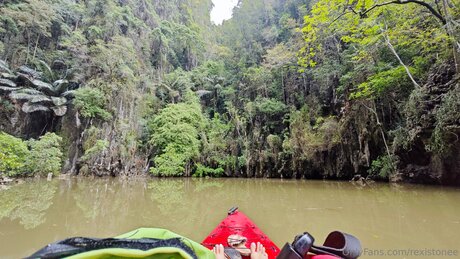 Rexistonee art star picture