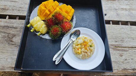 Rexistonee model free photos