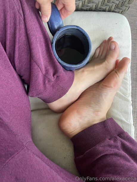 Alexacelia star art pic