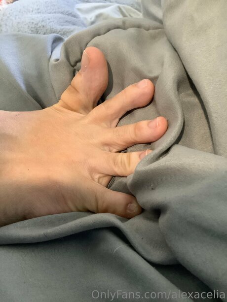 Alexacelia erotic pornstar galleries