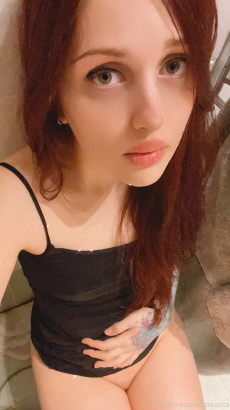 Abicocca best model archive