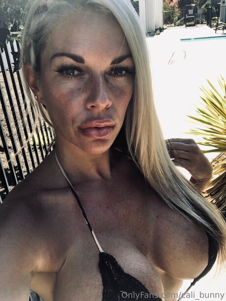 Cali Bunny hd actress image