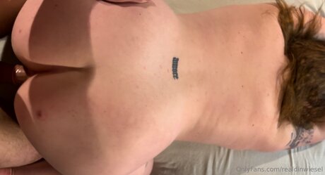 Realdinwiesel nudes pornstar img