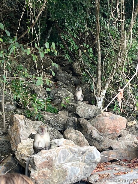 Nordicguy94 star pretty galleries