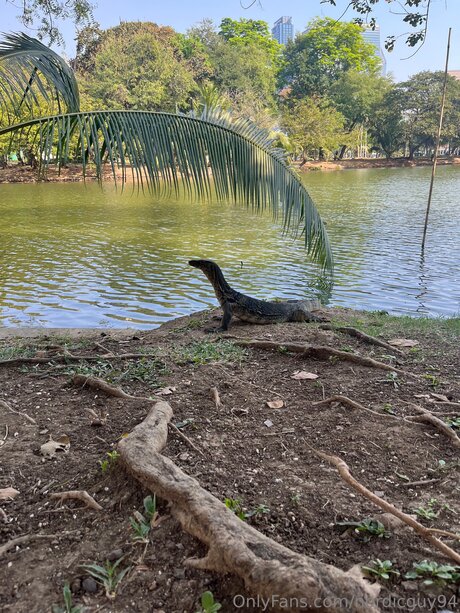 asian boobs onlyfans sexy nudes photos