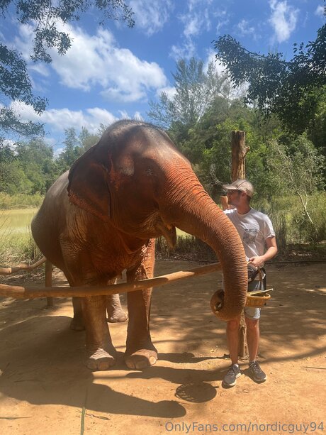 Nordicguy94 model porn photo