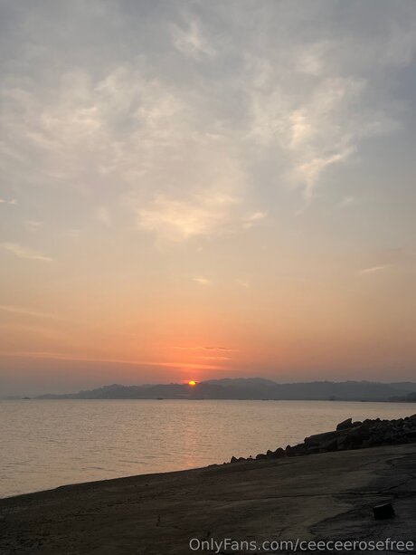 Ceeceerosefree star best archive