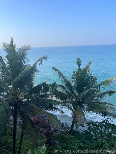 Ceeceerosefree hot actress pics