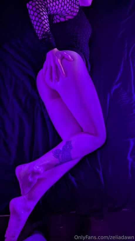 Zeliadawn model best img