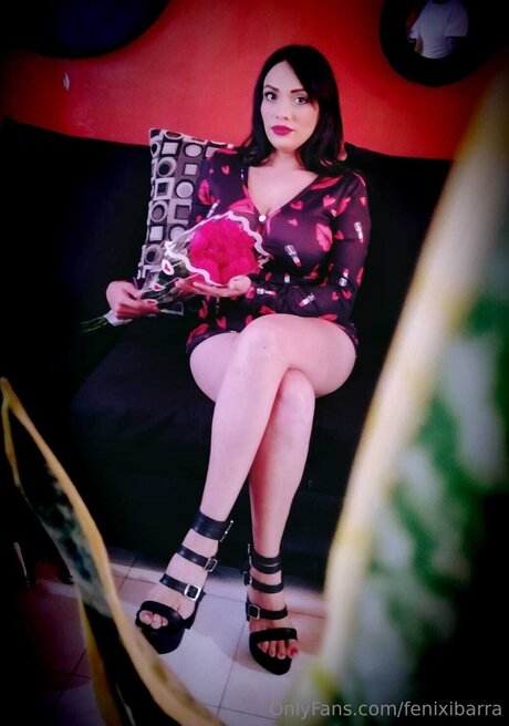 Fenixibarra star perfect image