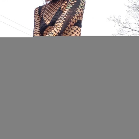 Dumbcuntfree star porn images