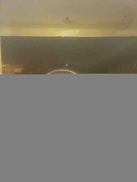 Dumbcuntfree star nudes photo