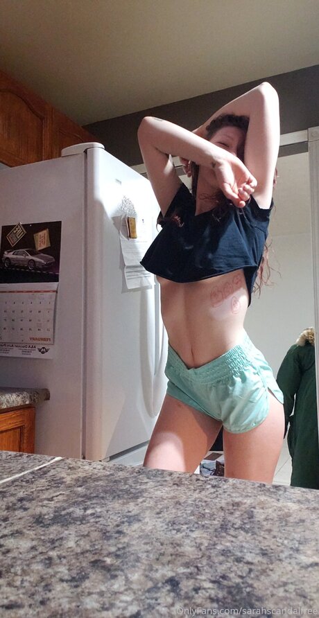 Dumbcuntfree free pornstar gallery