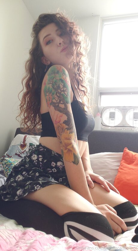 Dumbcuntfree pornstar art images