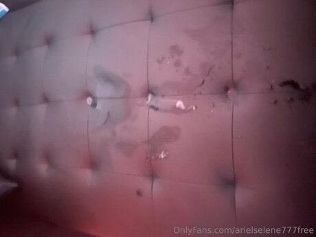 Exoticadolll hot actress image