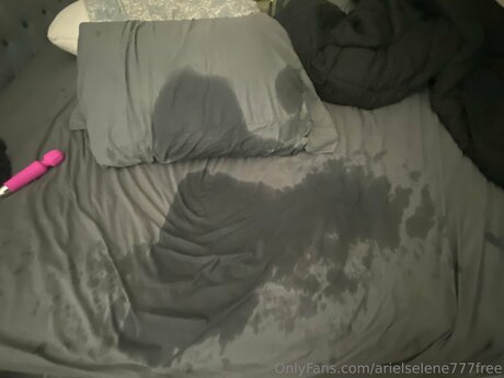 Exoticadolll star art images