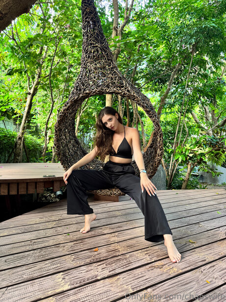 Chaoswife best model archive