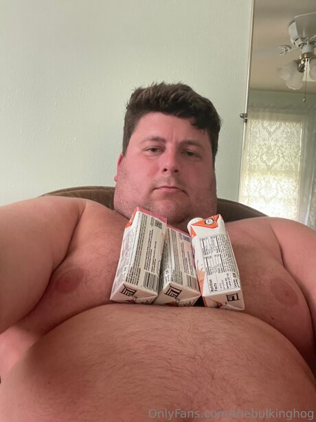 Thebulkinghog adult actress img