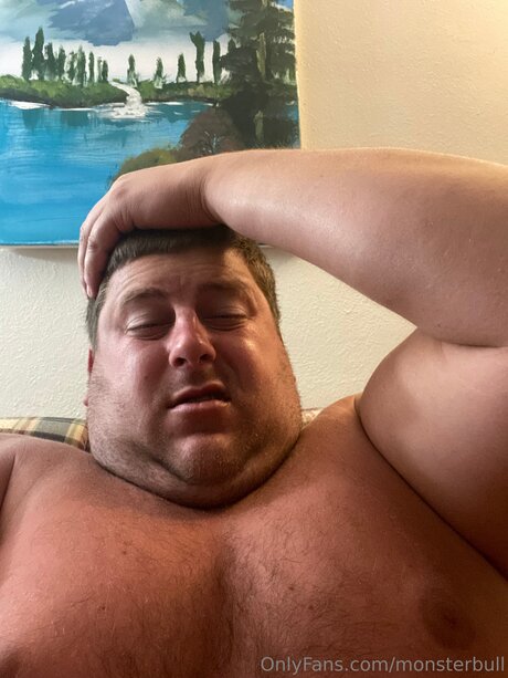 Thebulkinghog adult actress photos