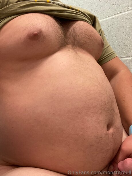 Thebulkinghog star adult image