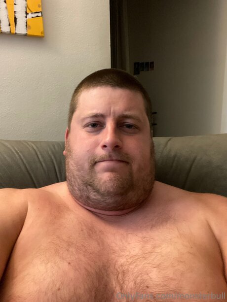 Thebulkinghog model free archive