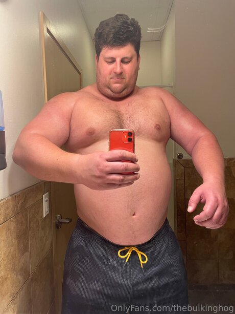 Thebulkinghog naked actress archive