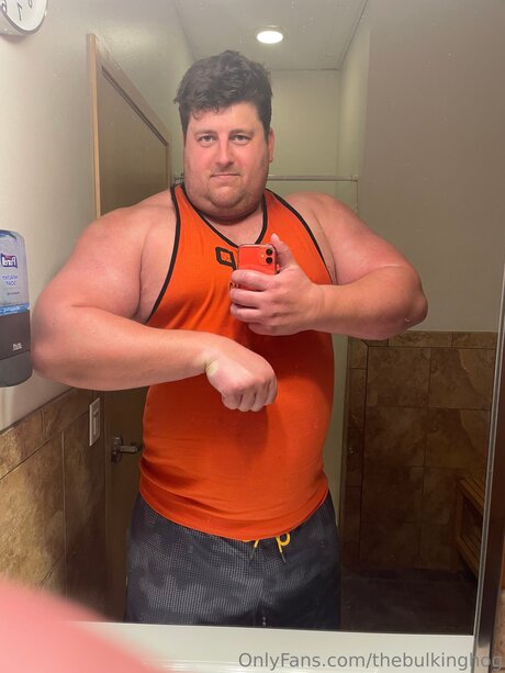 Thebulkinghog star pornographic archive