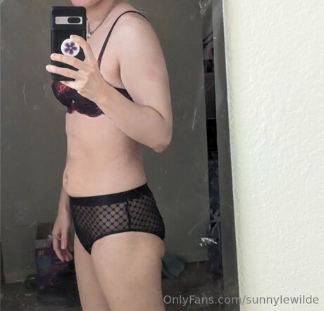 Sunnylewilde high quality model archive