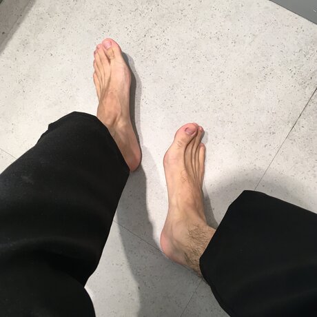 Calsiffer beautiful star archive