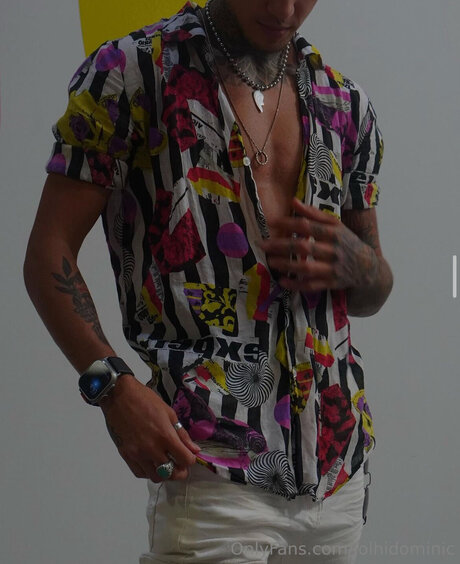 Ftmonlytrans hd star archive