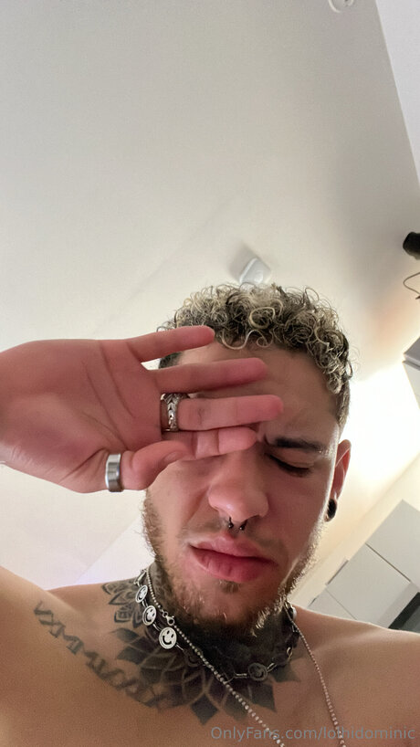 Ftmonlytrans star nice pictures