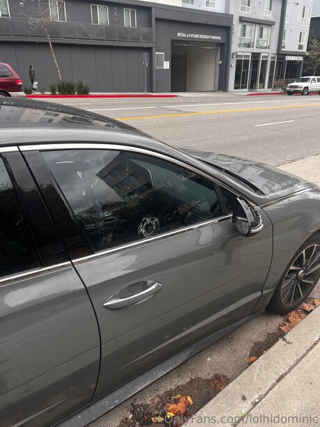 Ftmonlytrans nude model images