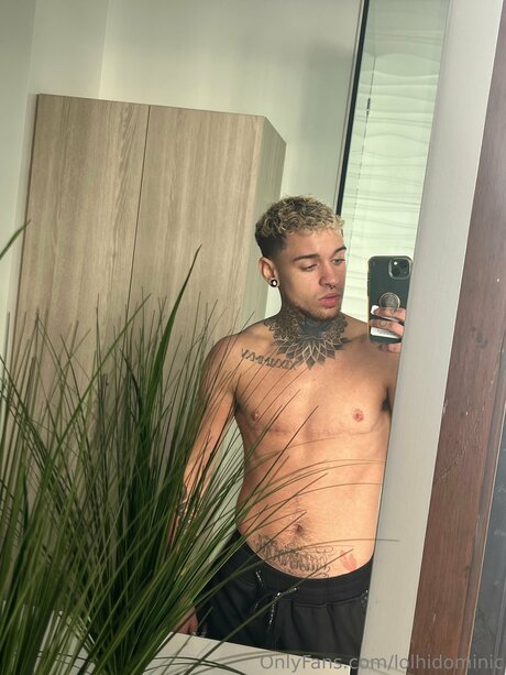 Ftmonlytrans erotic actress gallery