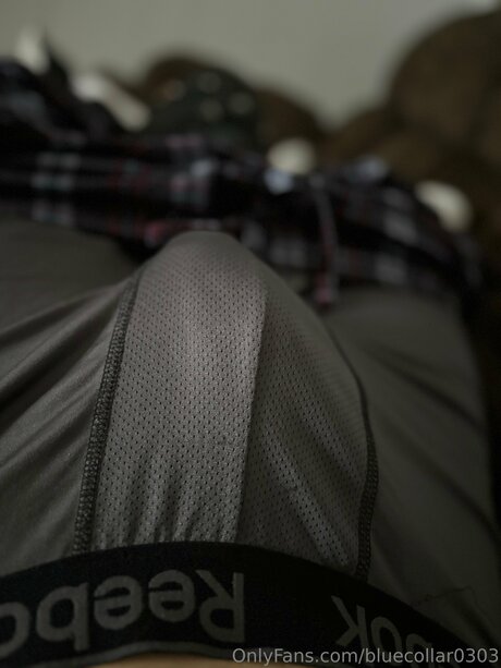 Bluecollar0303 adult model photo