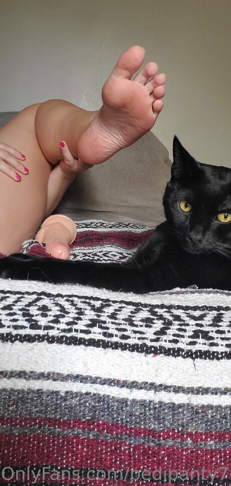 U9317275 pornstar high quality galleries