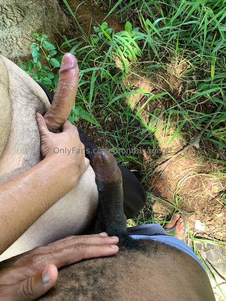 Montalvaodott high quality star image