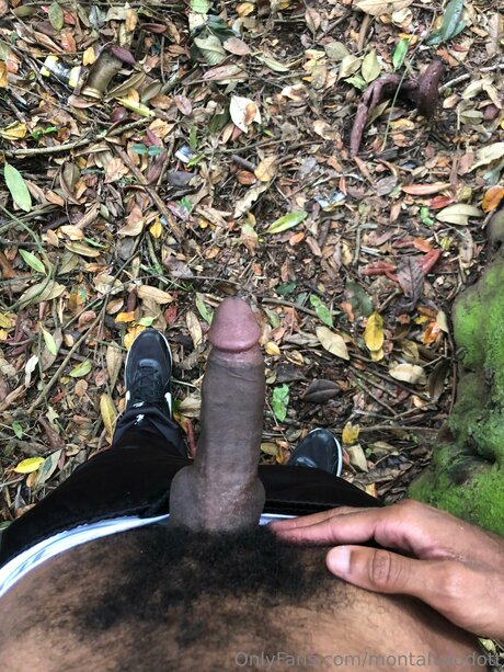 Montalvaodott art pornstar image