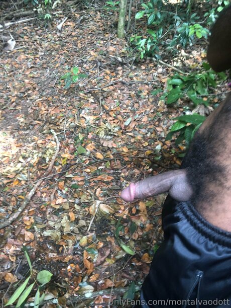 Montalvaodott top star pics