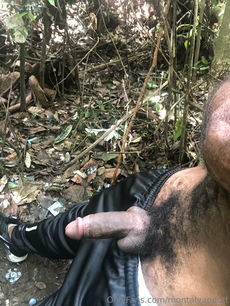 Montalvaodott star pornographic gallery