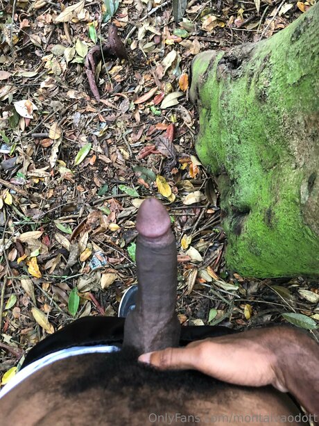 Montalvaodott nude pornstar pics