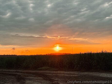 Thehooligan15 hd actress archive