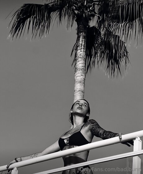 Bad Bunn art star pic