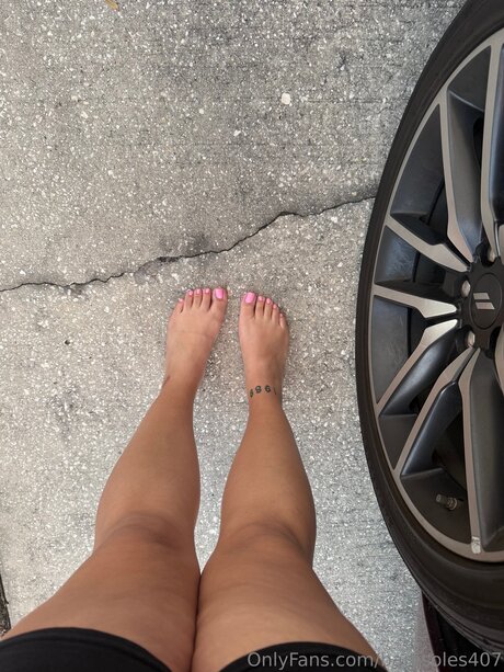 Baresoles407 porn star image