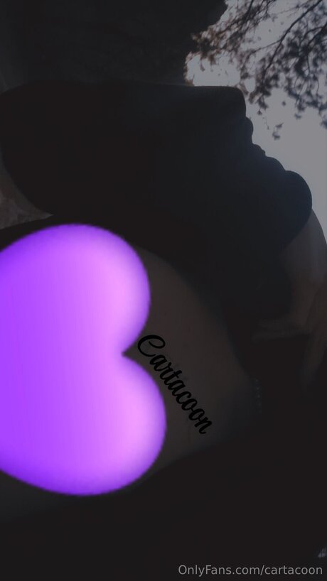 Cartacoon nice model pic