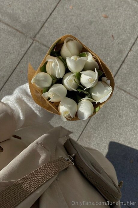 Lunamuhler star beautiful photos