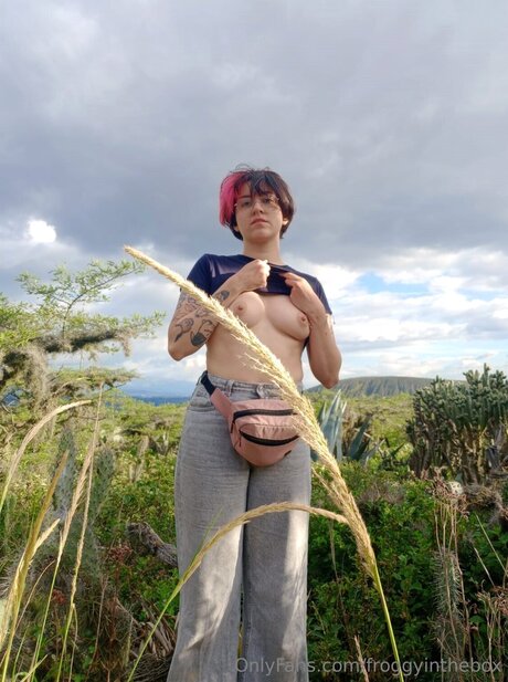 Froggyinthebox free star archive