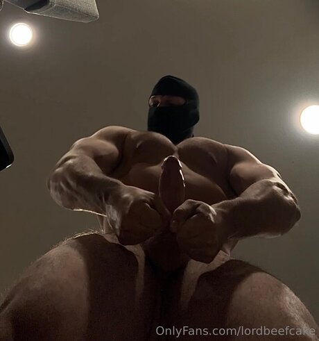 Lordbeefcake star xxx pictures