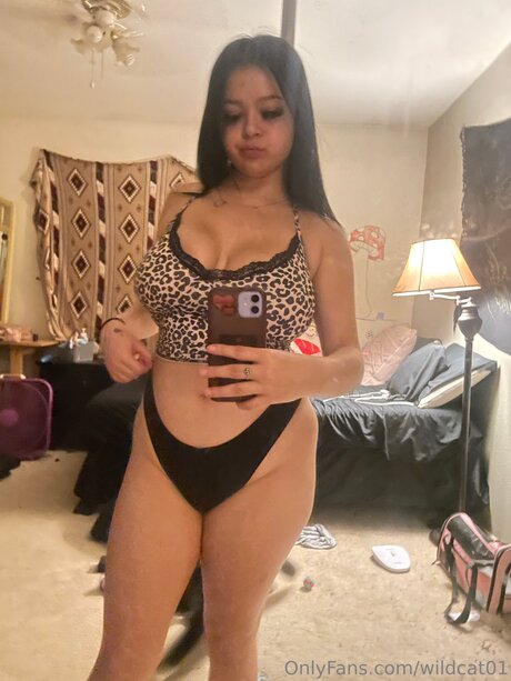 Wildcat01 best star pics