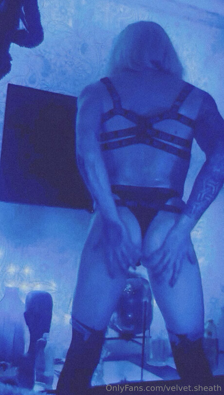 Velvet Sheath best pornstar pictures