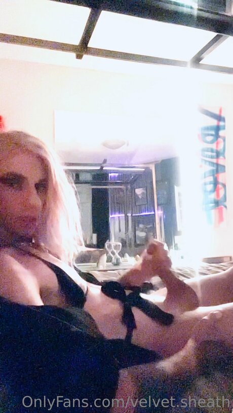 Velvet Sheath pornstar art image